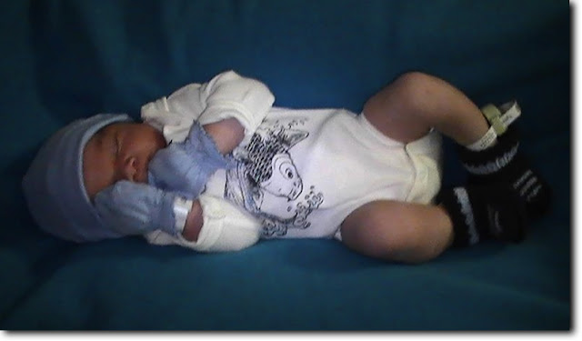 JacksonRose1-11-28+at+10.22.00+PM