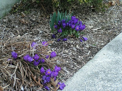 PICT0146.JPG
