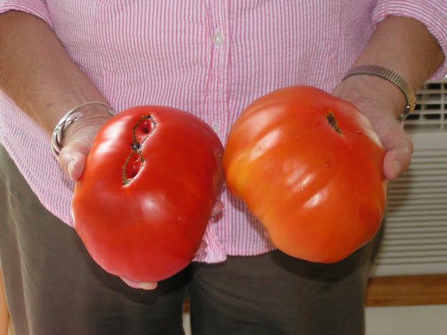 PICT0225.JPG