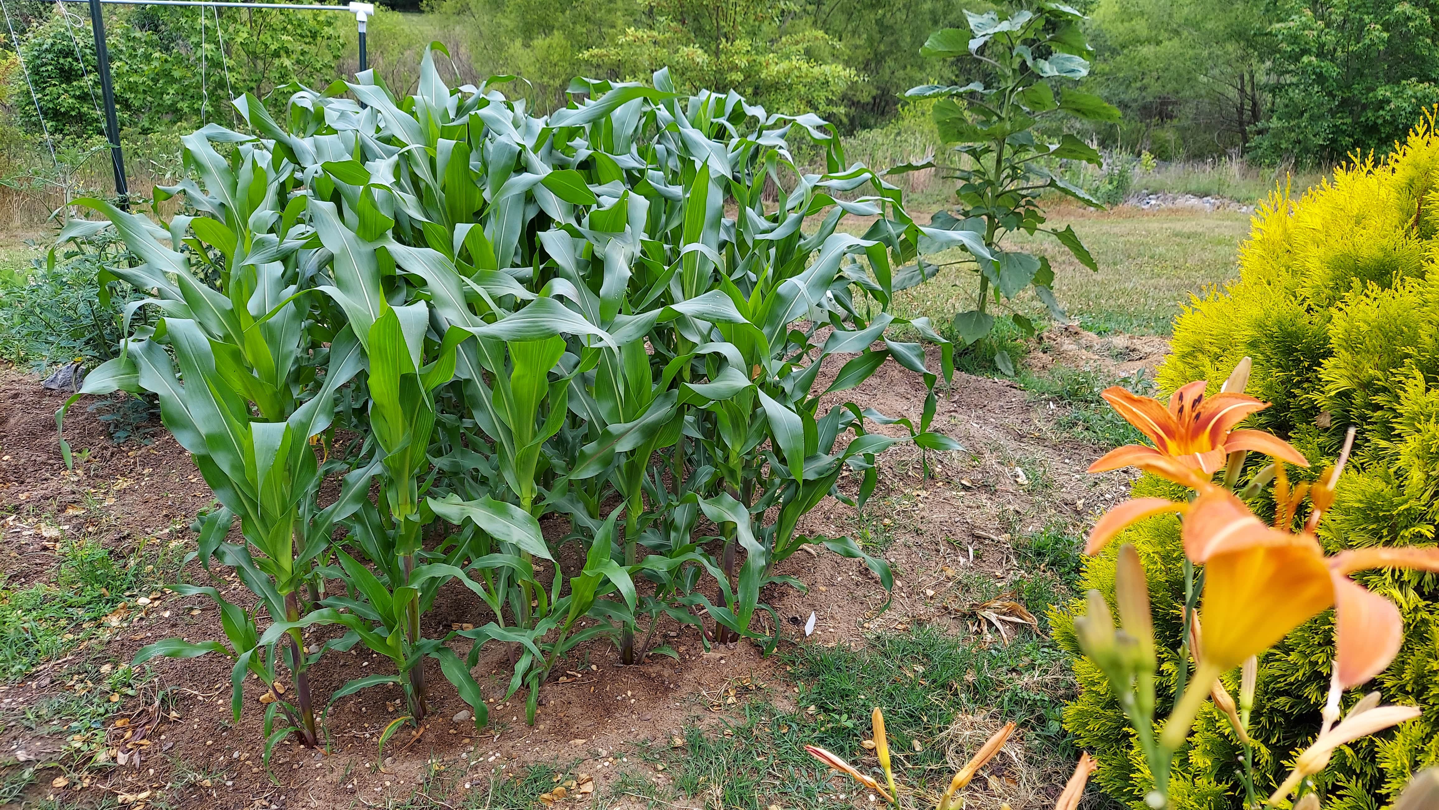 A short written description about the image. Good for accessibility, AL machine learning and search engine optimisation.