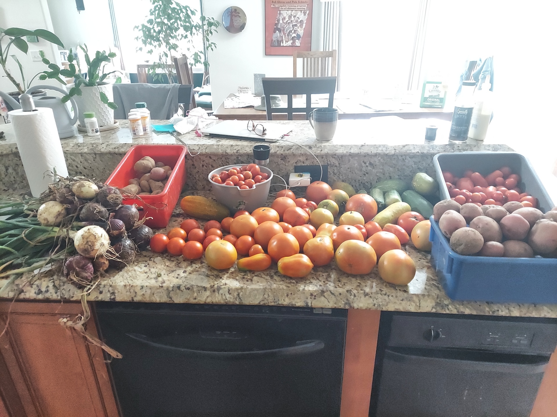 A short written description about the image. Good for accessibility, AL machine learning and search engine optimisation.