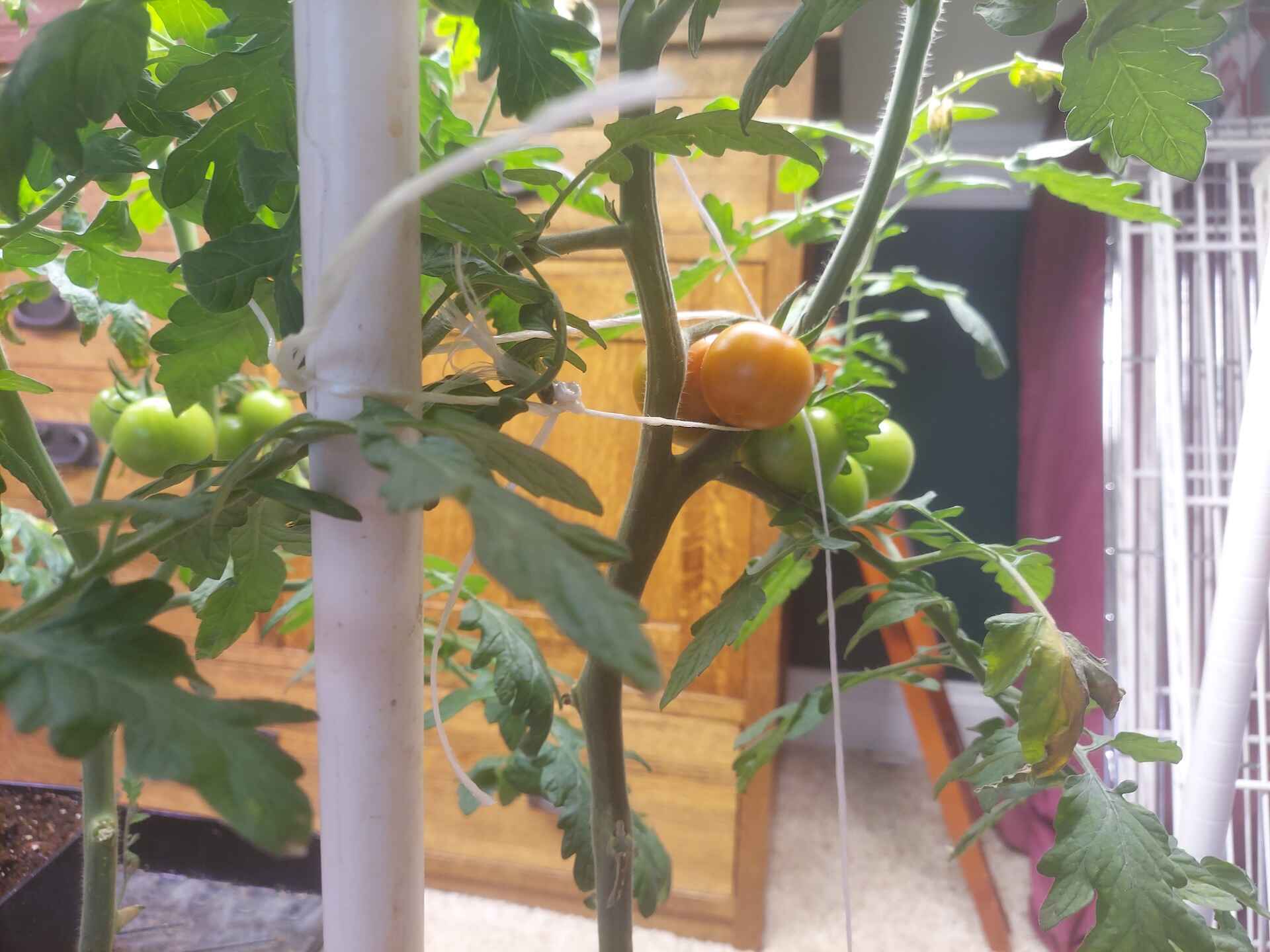 A short written description about the image. Good for accessibility, AL machine learning and search engine optimisation.