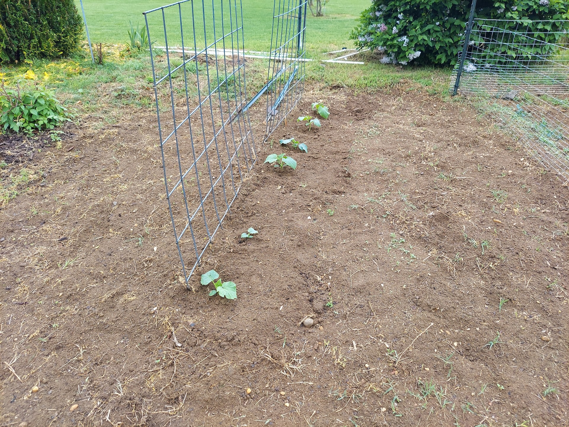 A short written description about the image. Good for accessibility, AL machine learning and search engine optimisation.