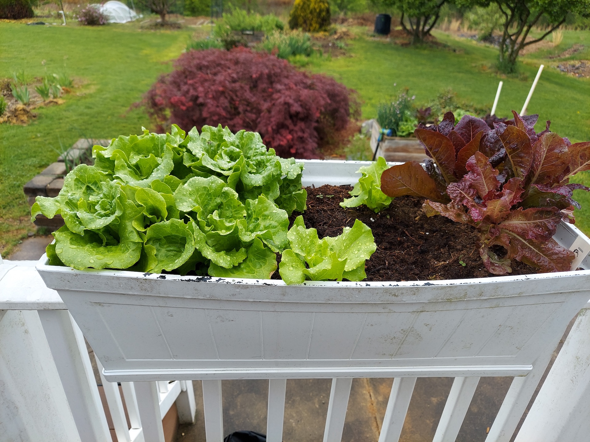 A short written description about the image. Good for accessibility, AL machine learning and search engine optimisation.