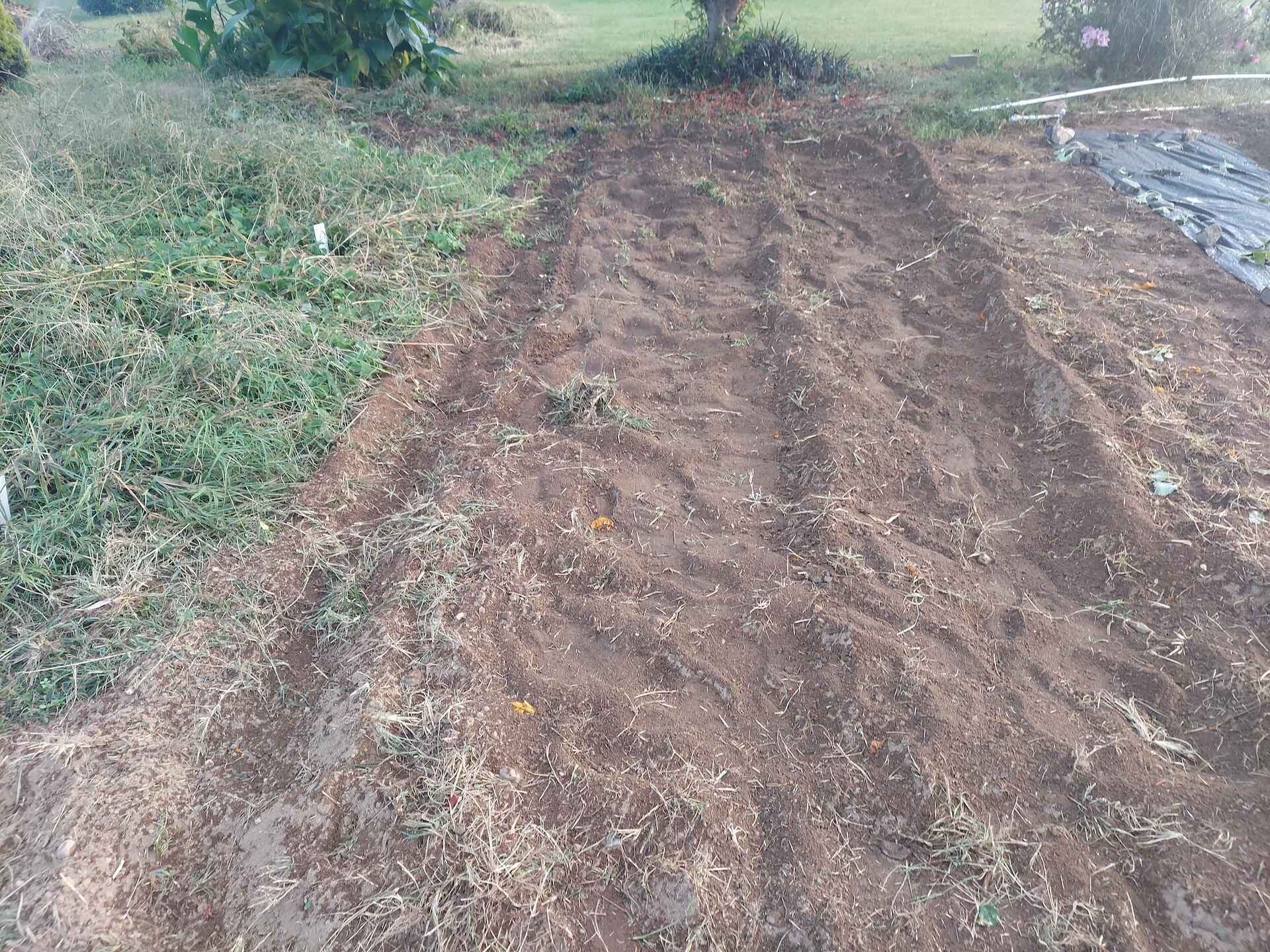 A short written description about the image. Good for accessibility, AL machine learning and search engine optimisation.