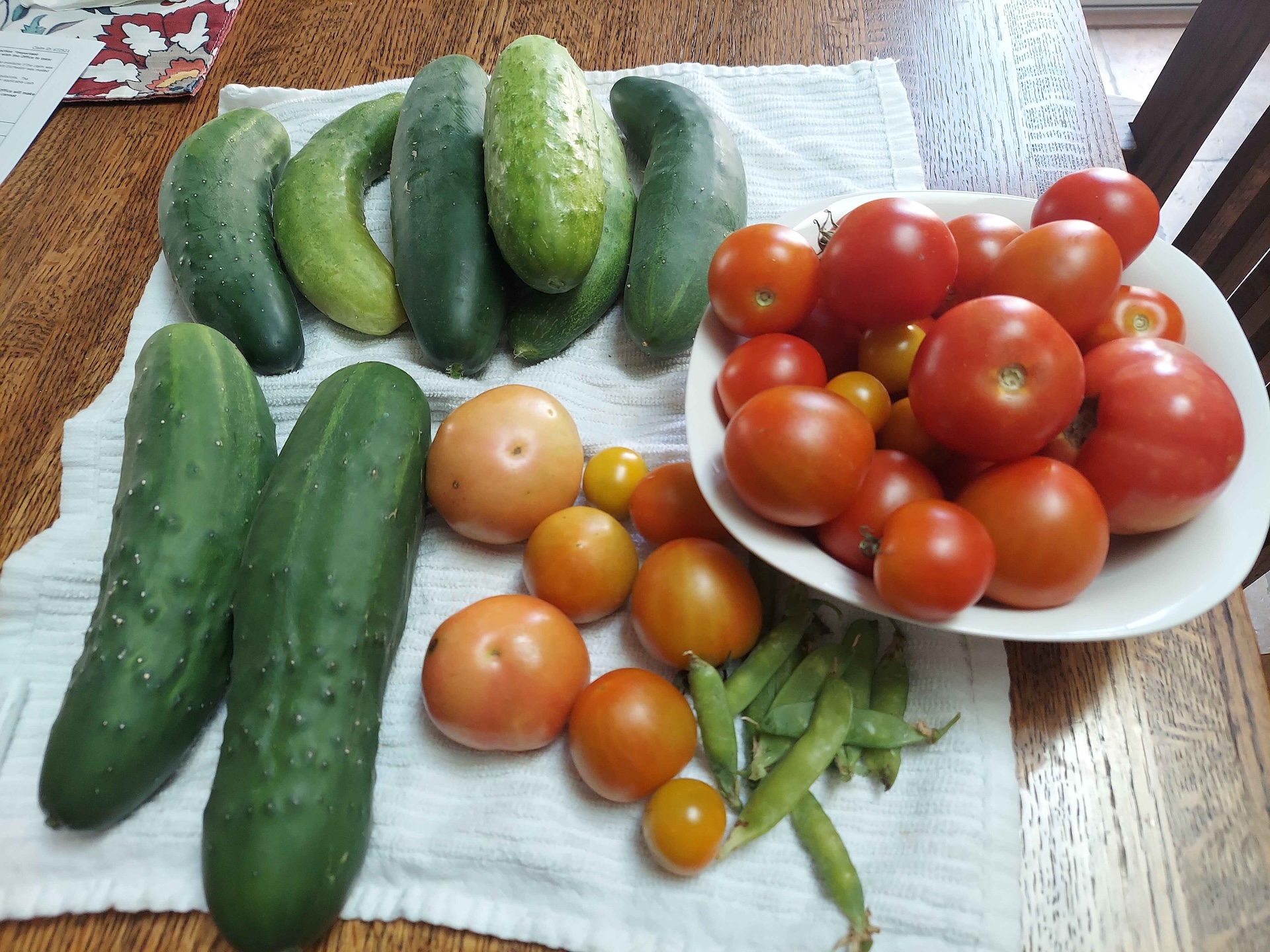 These Early Delight variety are golf sized and good tasting.