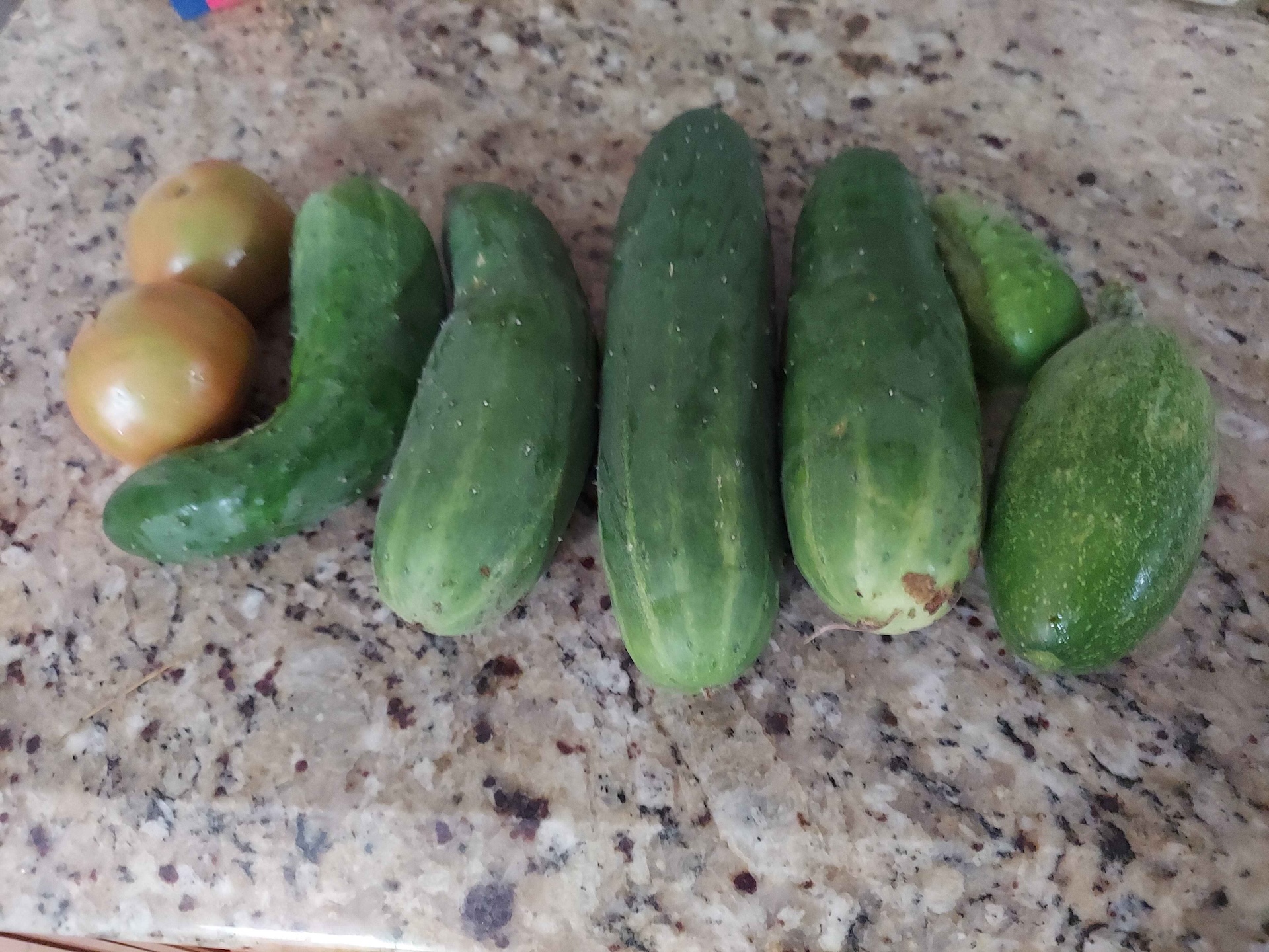 A short written description about the image. Good for accessibility, AL machine learning and search engine optimisation.