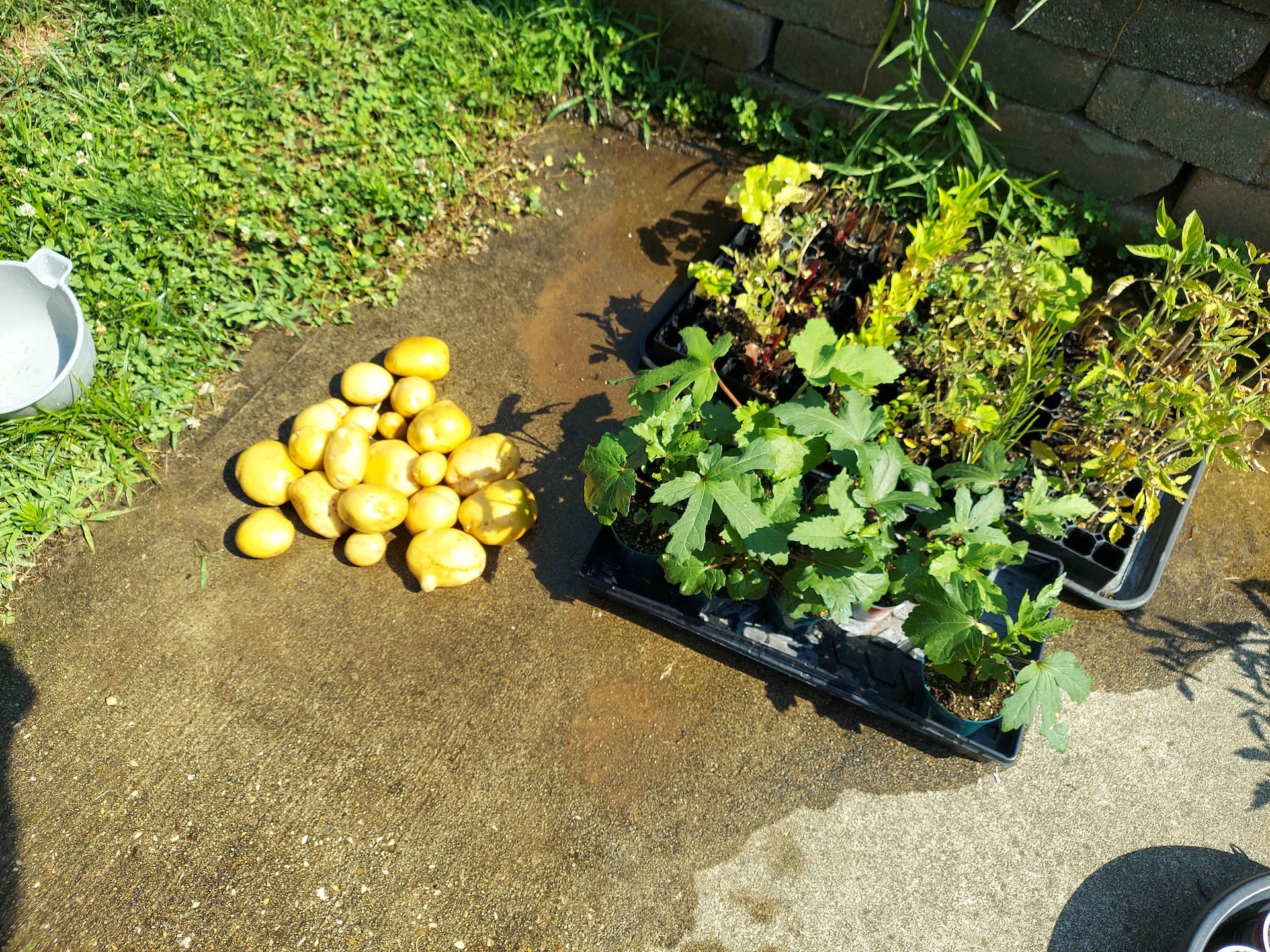 A short written description about the image. Good for accessibility, AL machine learning and search engine optimisation.