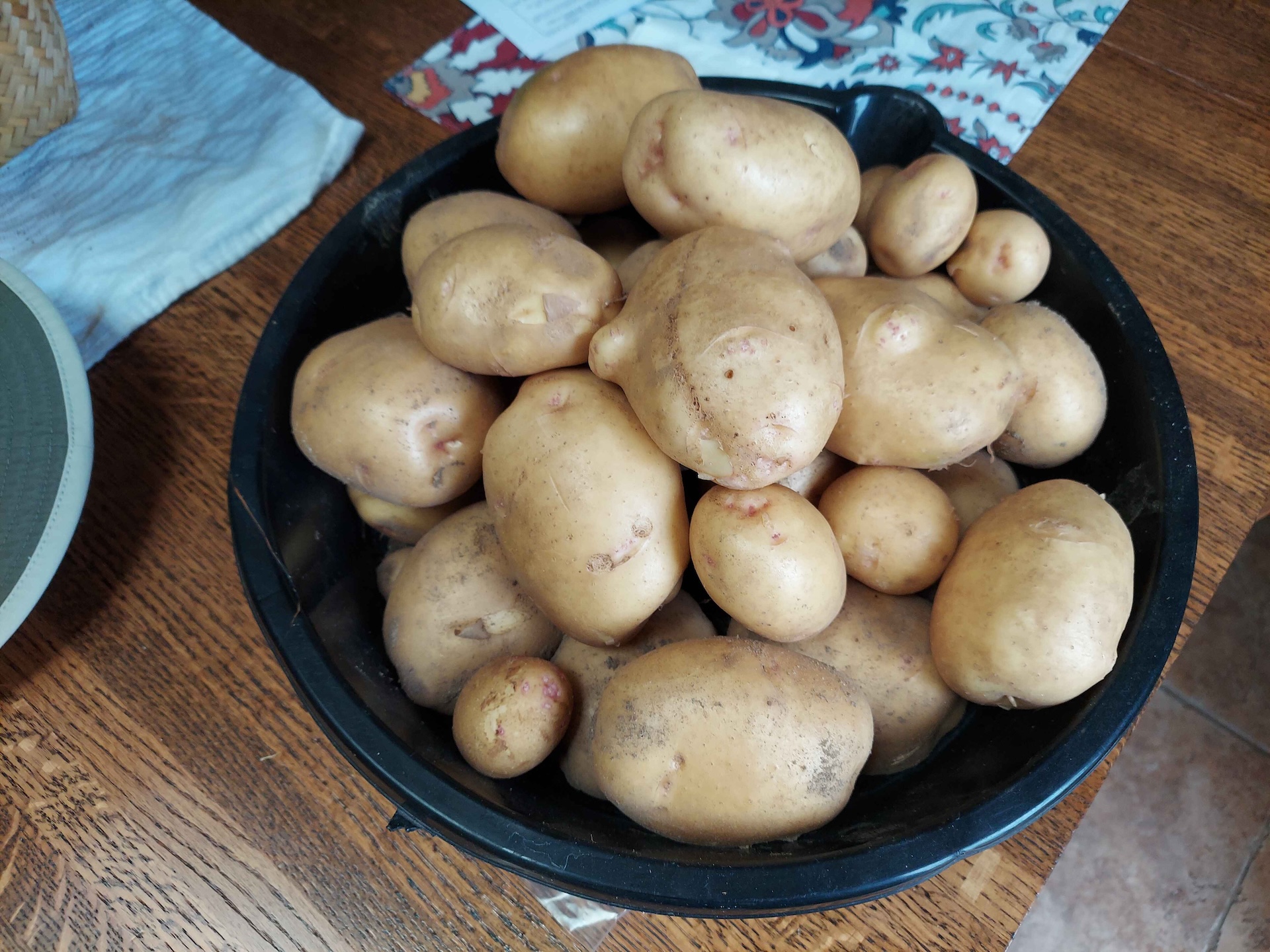 A short written description about the image. Good for accessibility, AL machine learning and search engine optimisation.