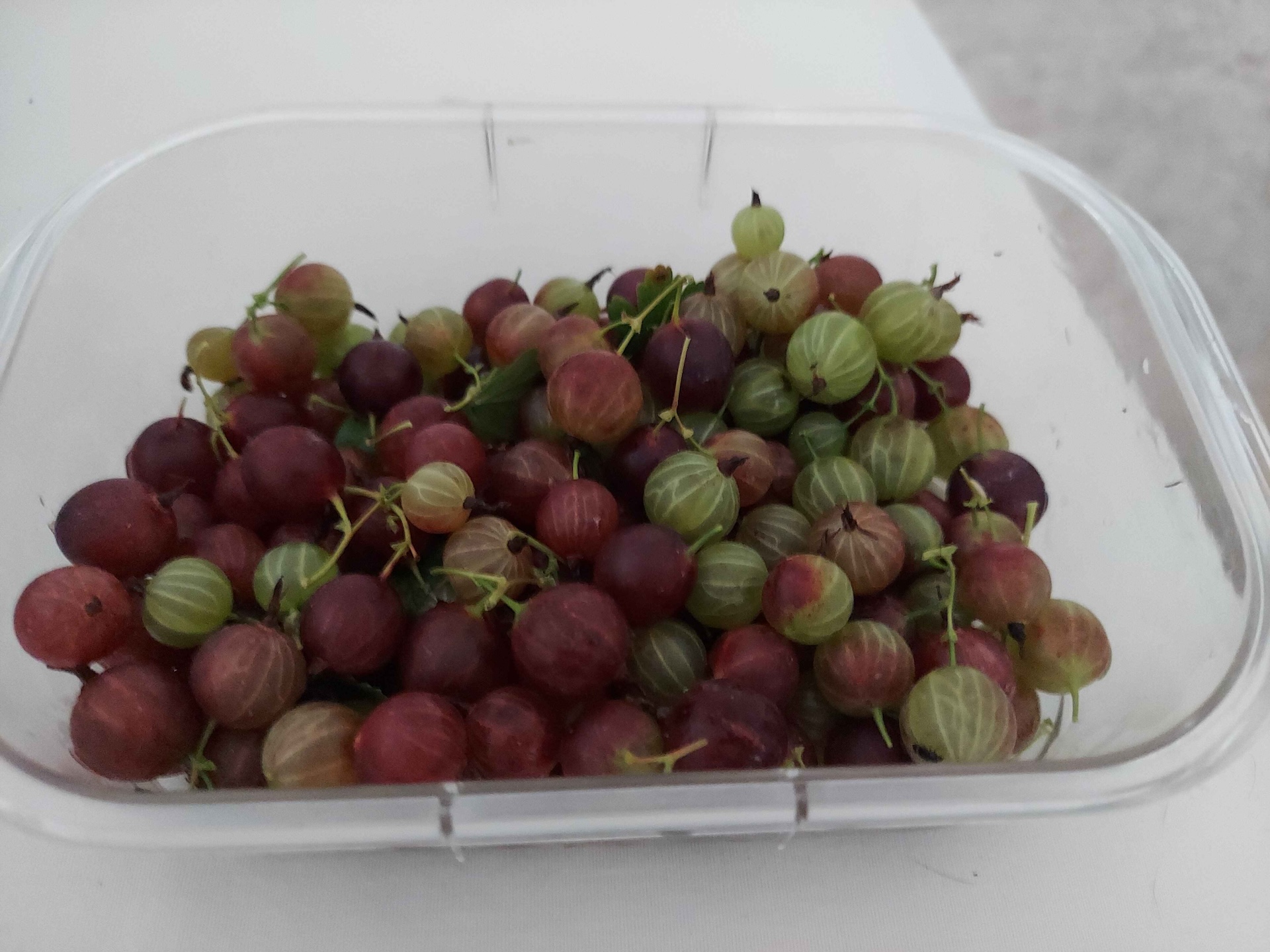 A short written description about the image. Good for accessibility, AL machine learning and search engine optimisation.