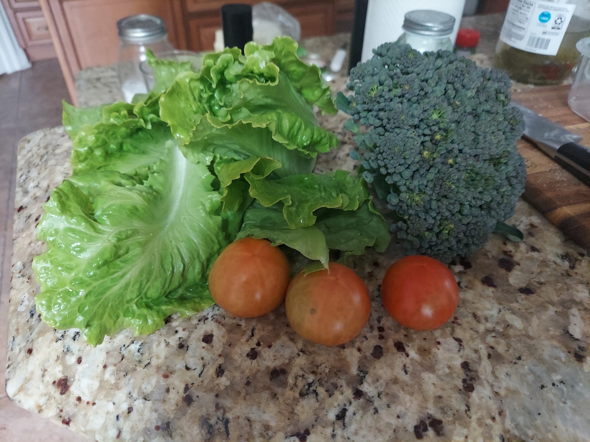 A short written description about the image. Good for accessibility, AL machine learning and search engine optimisation.