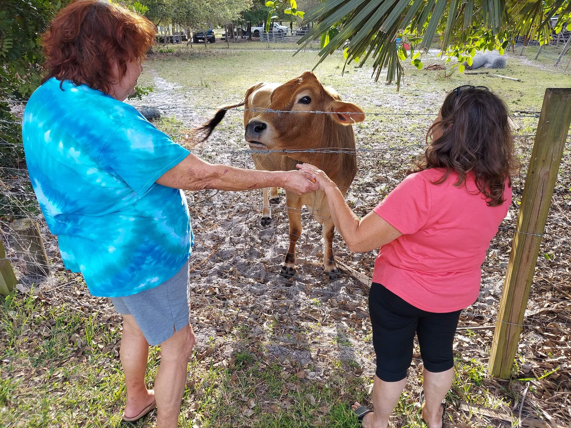 A short written description about the image. Good for accessibility, AL machine learning and search engine optimisation.