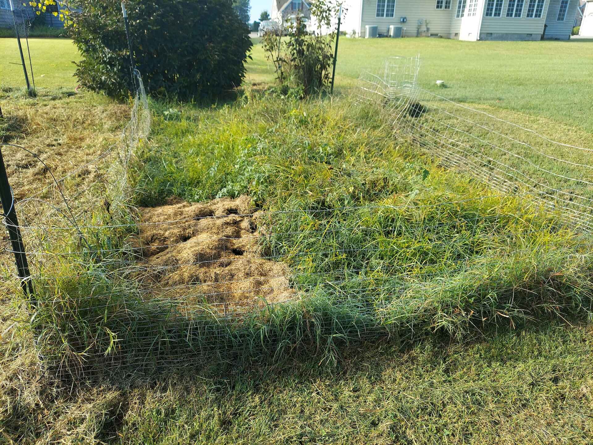 A short written description about the image. Good for accessibility, AL machine learning and search engine optimisation.