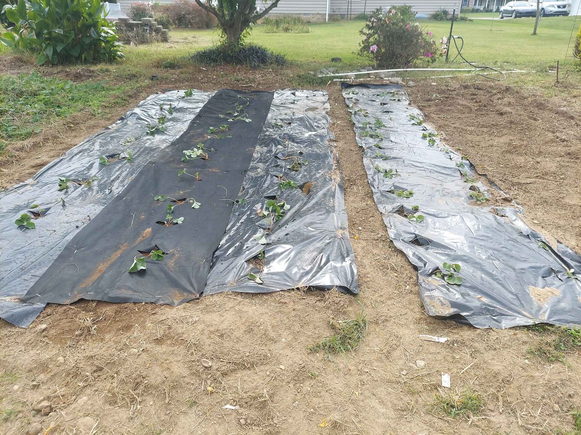 A short written description about the image. Good for accessibility, AL machine learning and search engine optimisation.