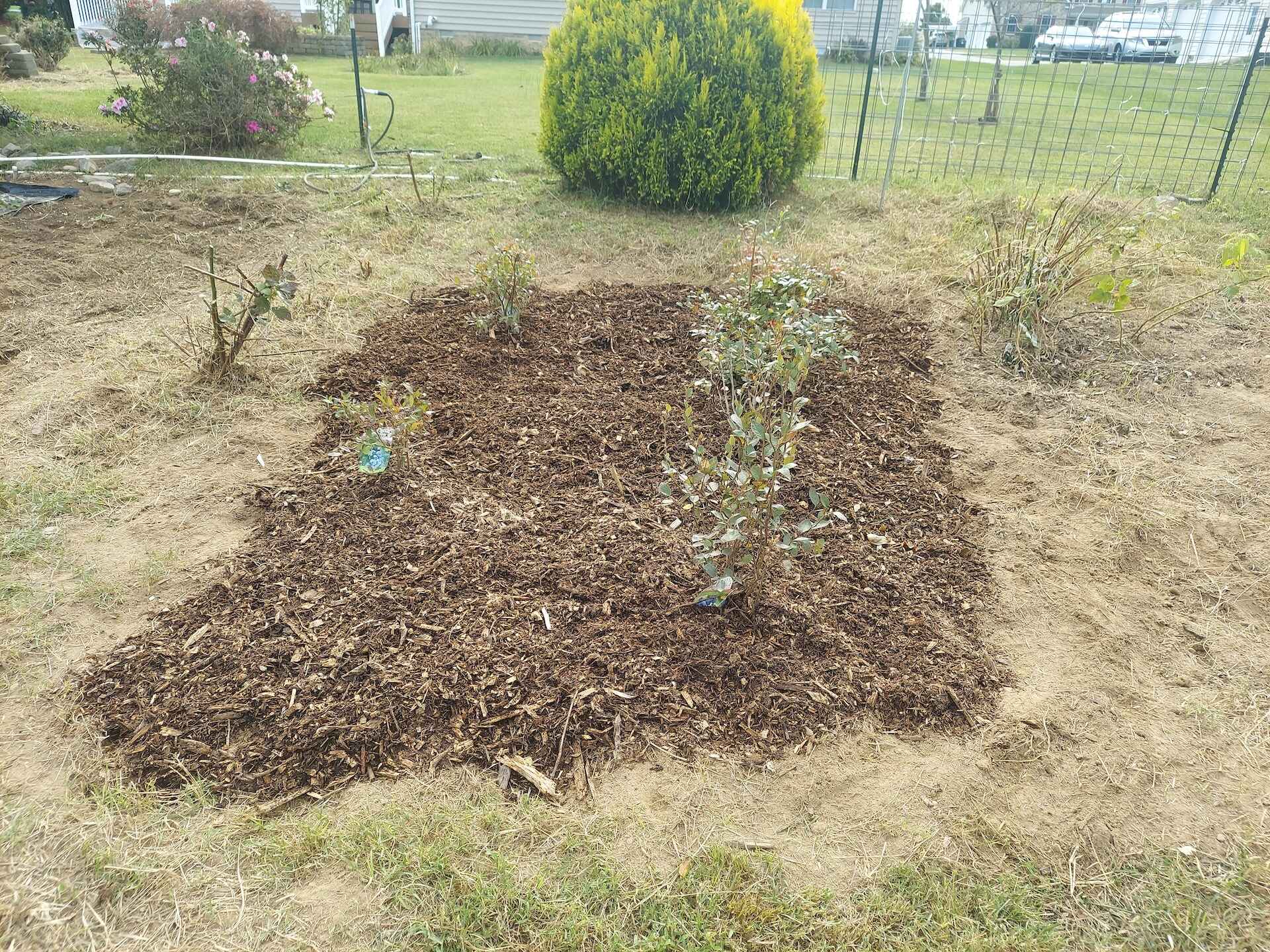 A short written description about the image. Good for accessibility, AL machine learning and search engine optimisation.