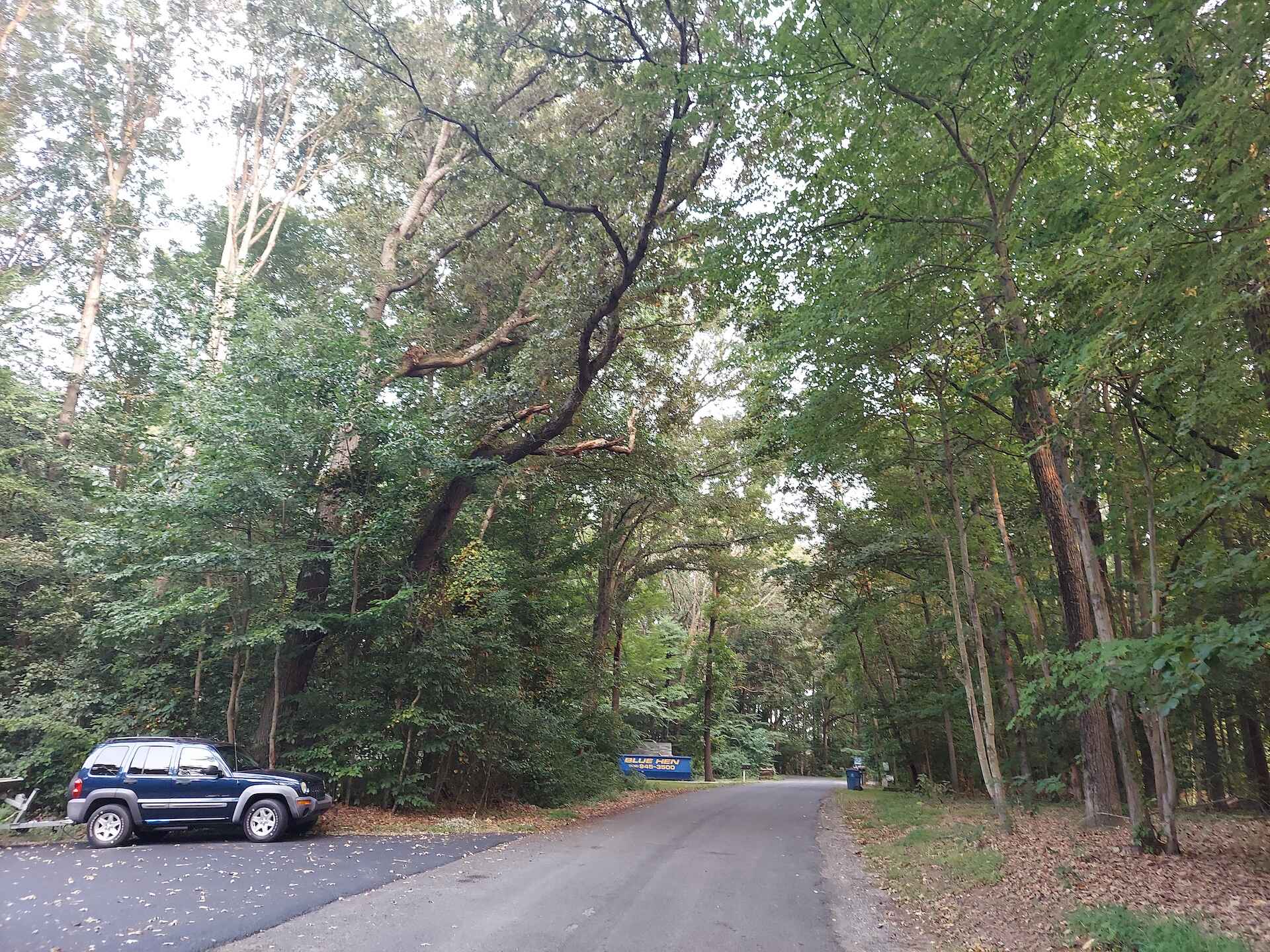 A short written description about the image. Good for accessibility, AL machine learning and search engine optimisation.