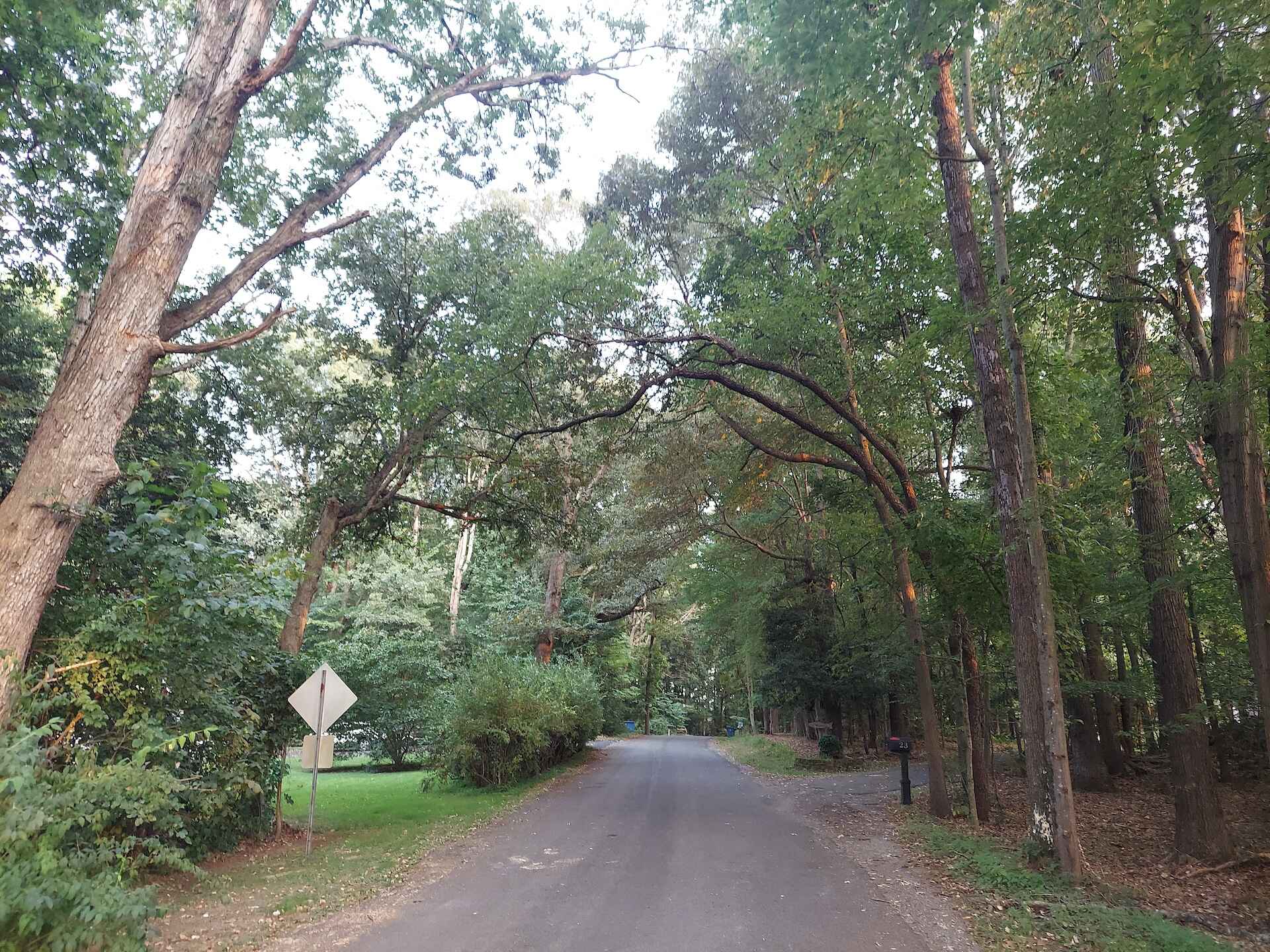 A short written description about the image. Good for accessibility, AL machine learning and search engine optimisation.