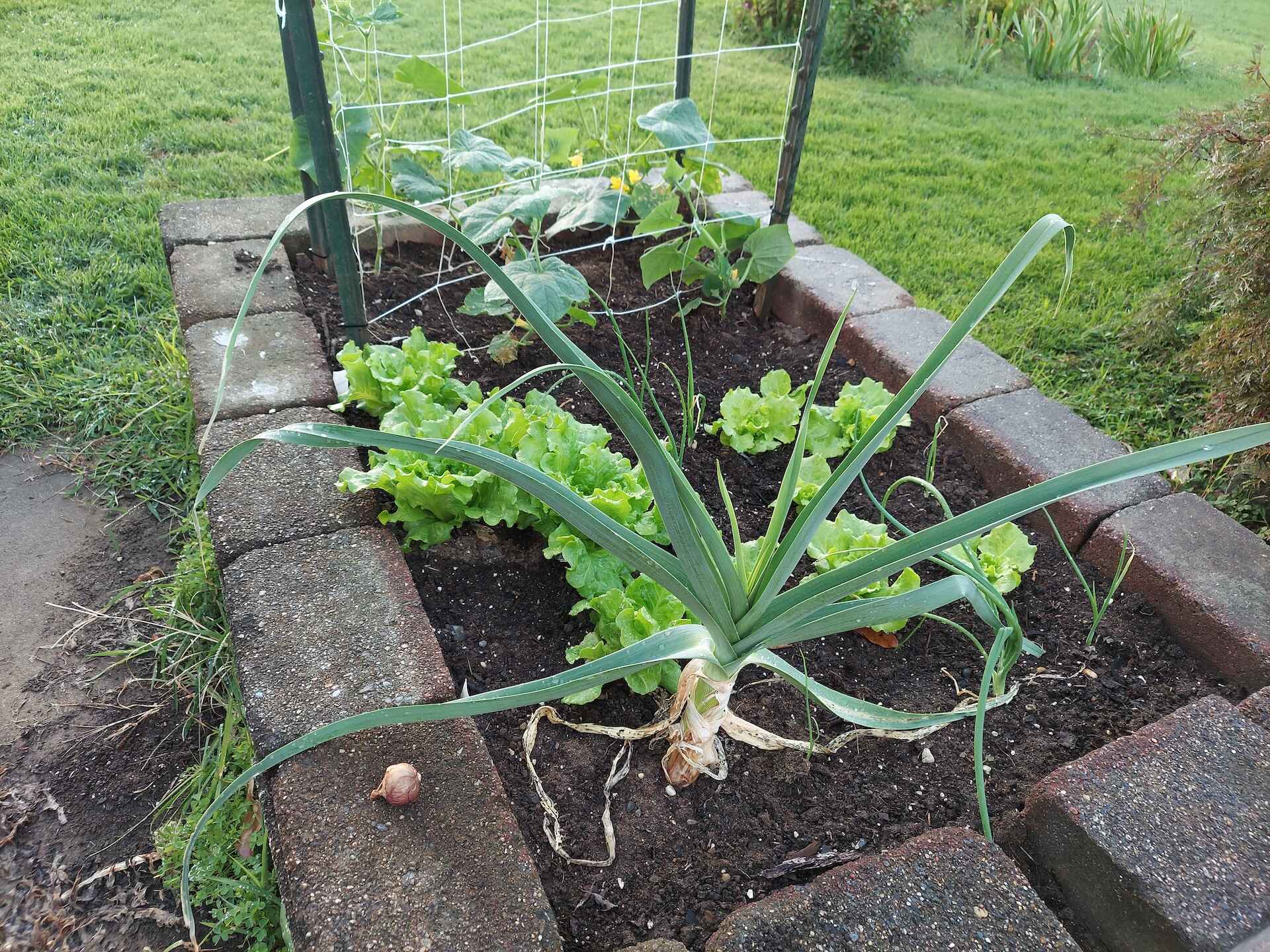 A short written description about the image. Good for accessibility, AL machine learning and search engine optimisation.