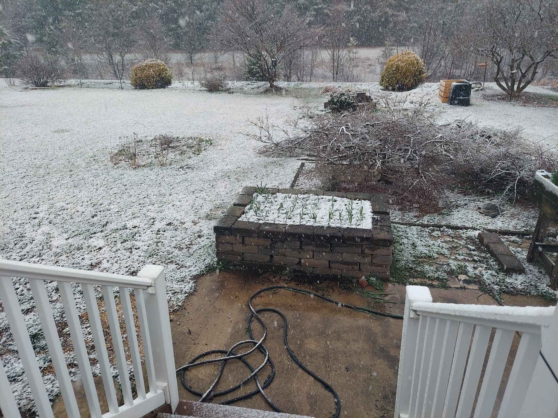 A short written description about the image. Good for accessibility, AL machine learning and search engine optimisation.