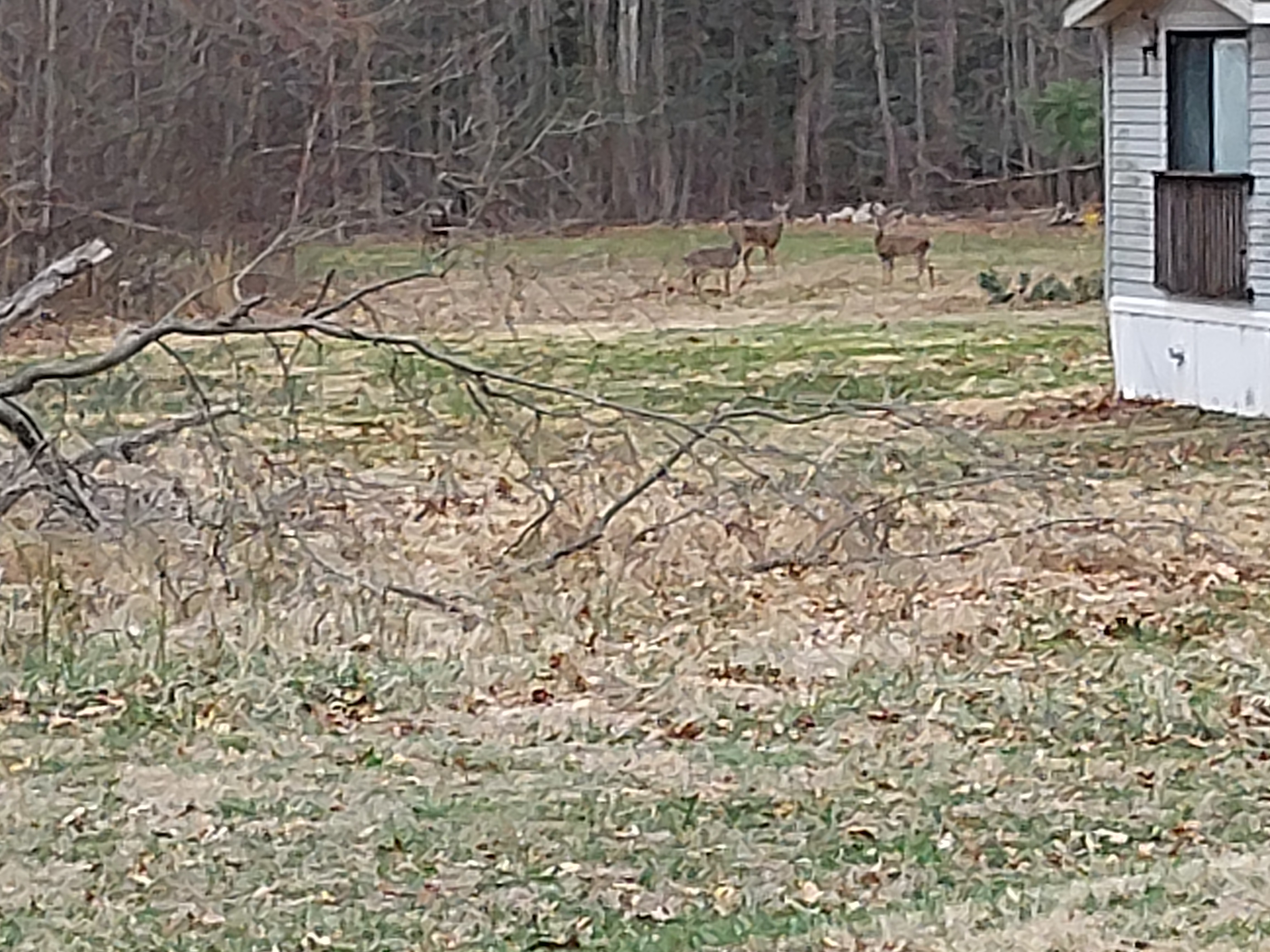 A short written description about the image. Good for accessibility, AL machine learning and search engine optimisation.