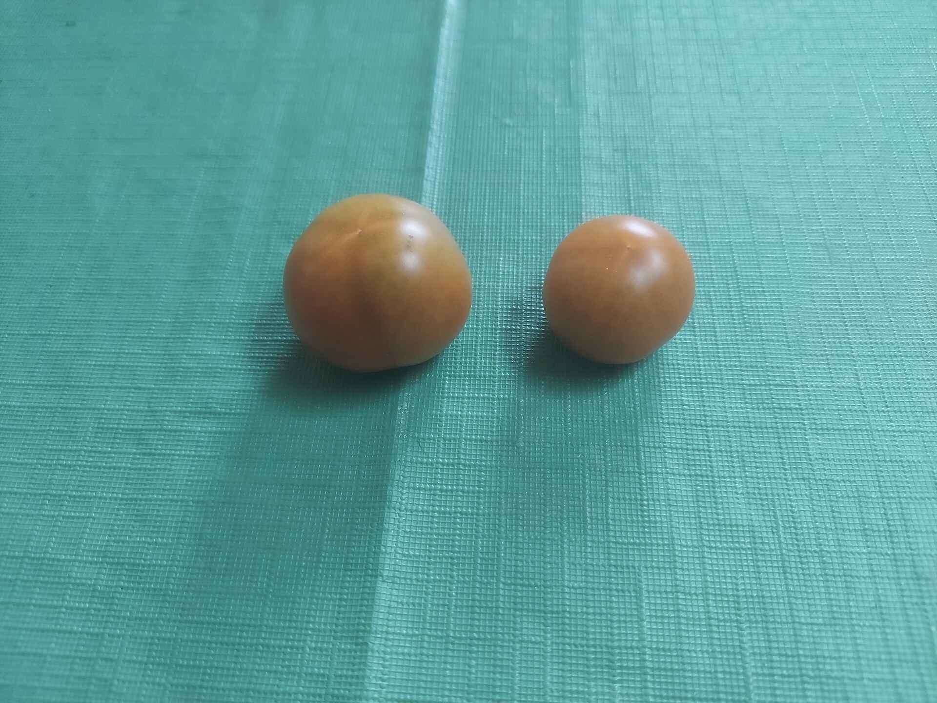 A short written description about the image. Good for accessibility, AL machine learning and search engine optimisation.