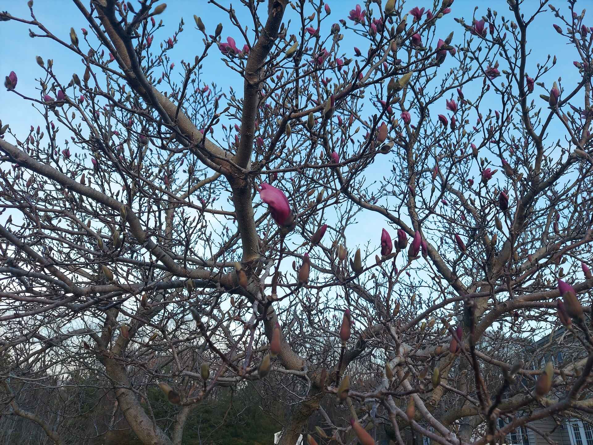 A short written description about the image. Good for accessibility, AL machine learning and search engine optimisation.