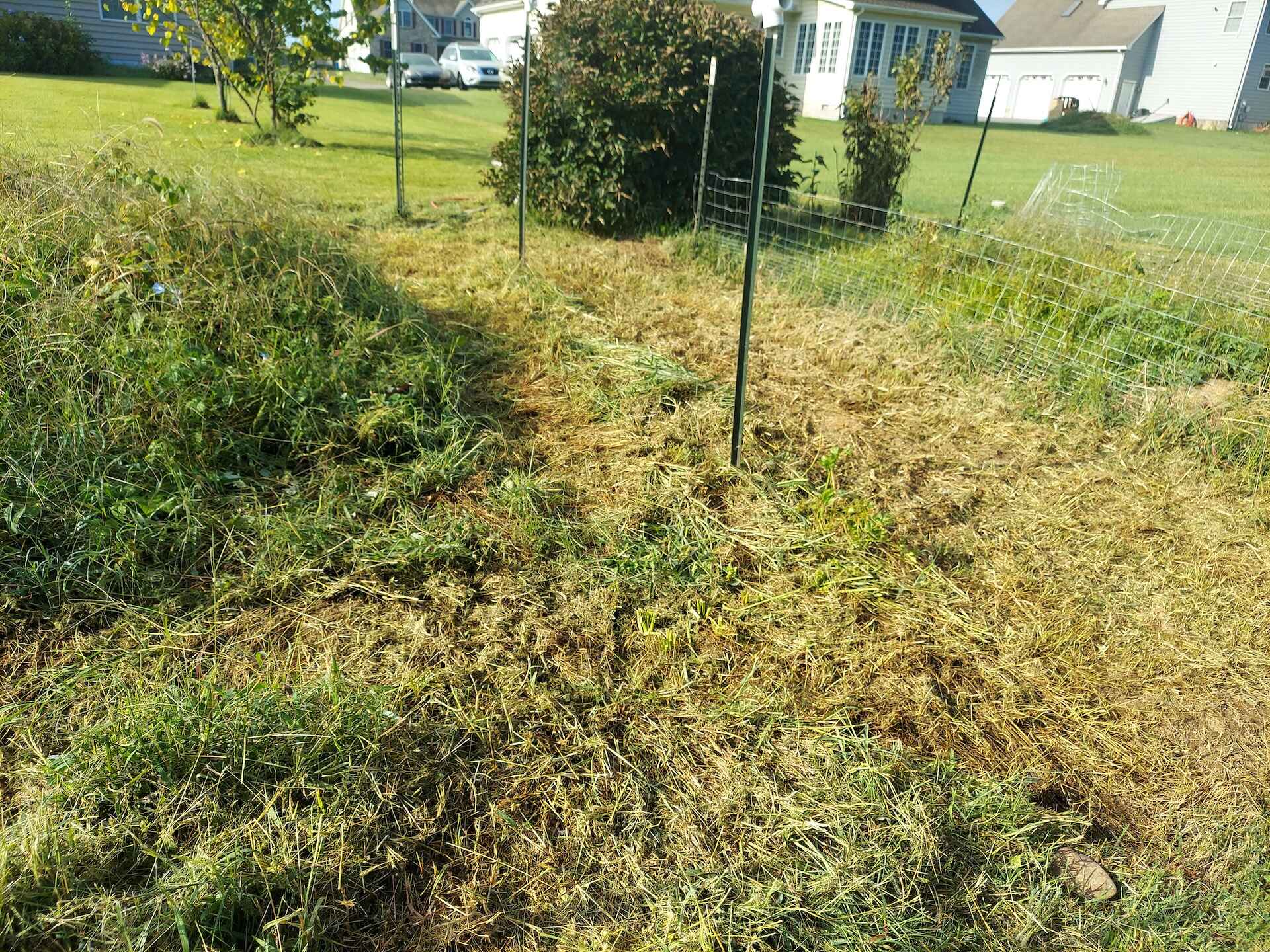 A short written description about the image. Good for accessibility, AL machine learning and search engine optimisation.