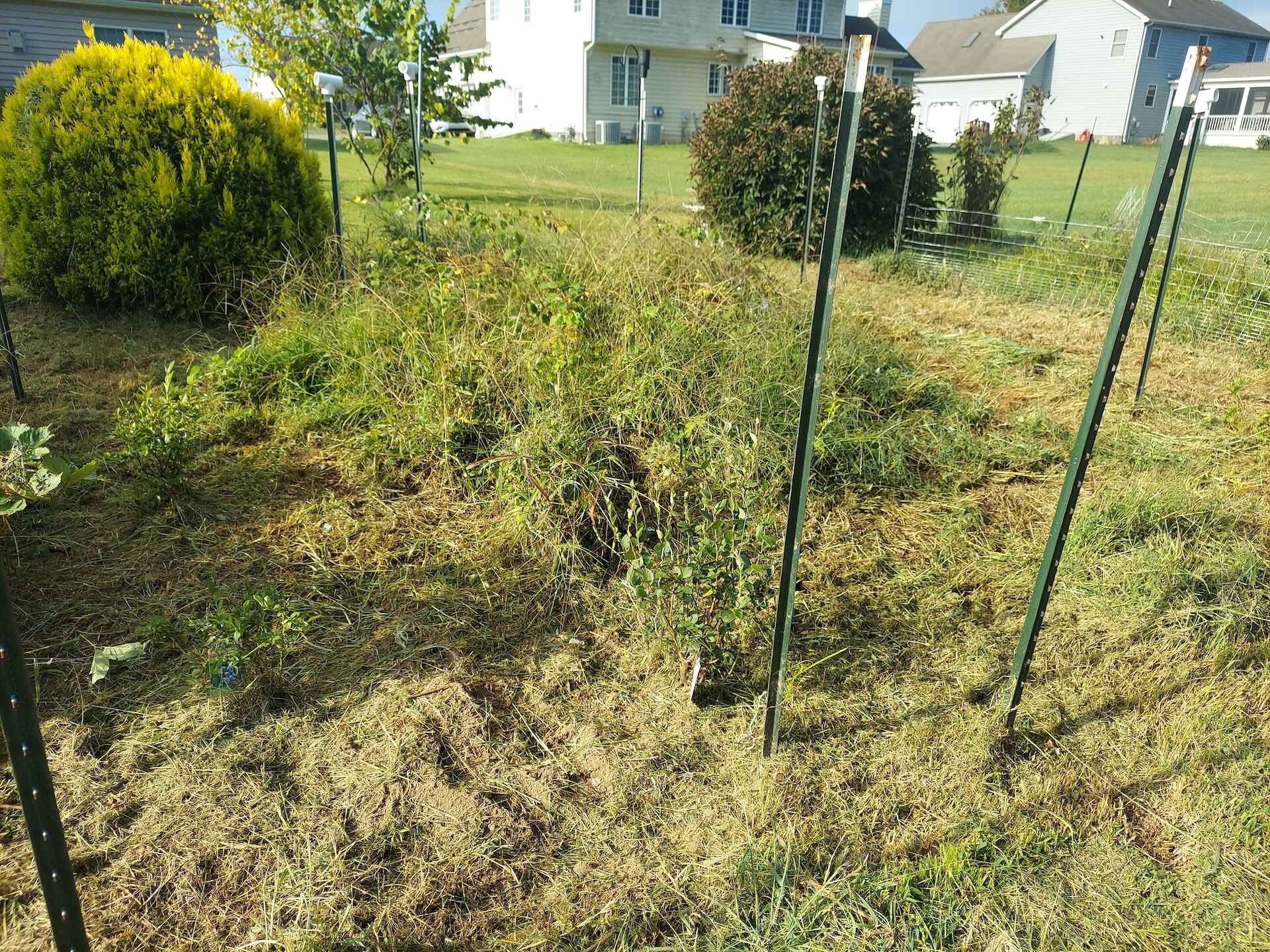 A short written description about the image. Good for accessibility, AL machine learning and search engine optimisation.