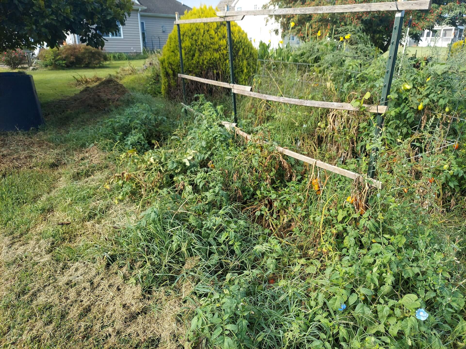 A short written description about the image. Good for accessibility, AL machine learning and search engine optimisation.