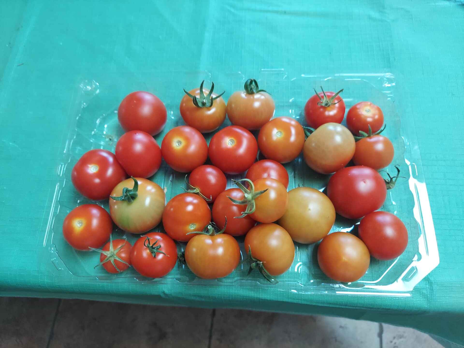 A short written description about the image. Good for accessibility, AL machine learning and search engine optimisation.